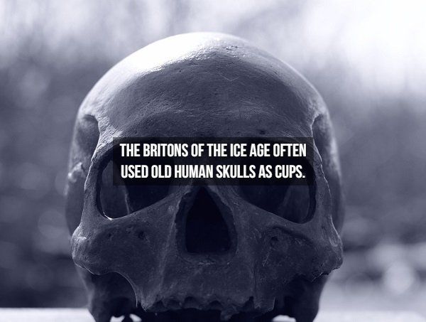 12 Shocking Facts From The History That You Must Know About